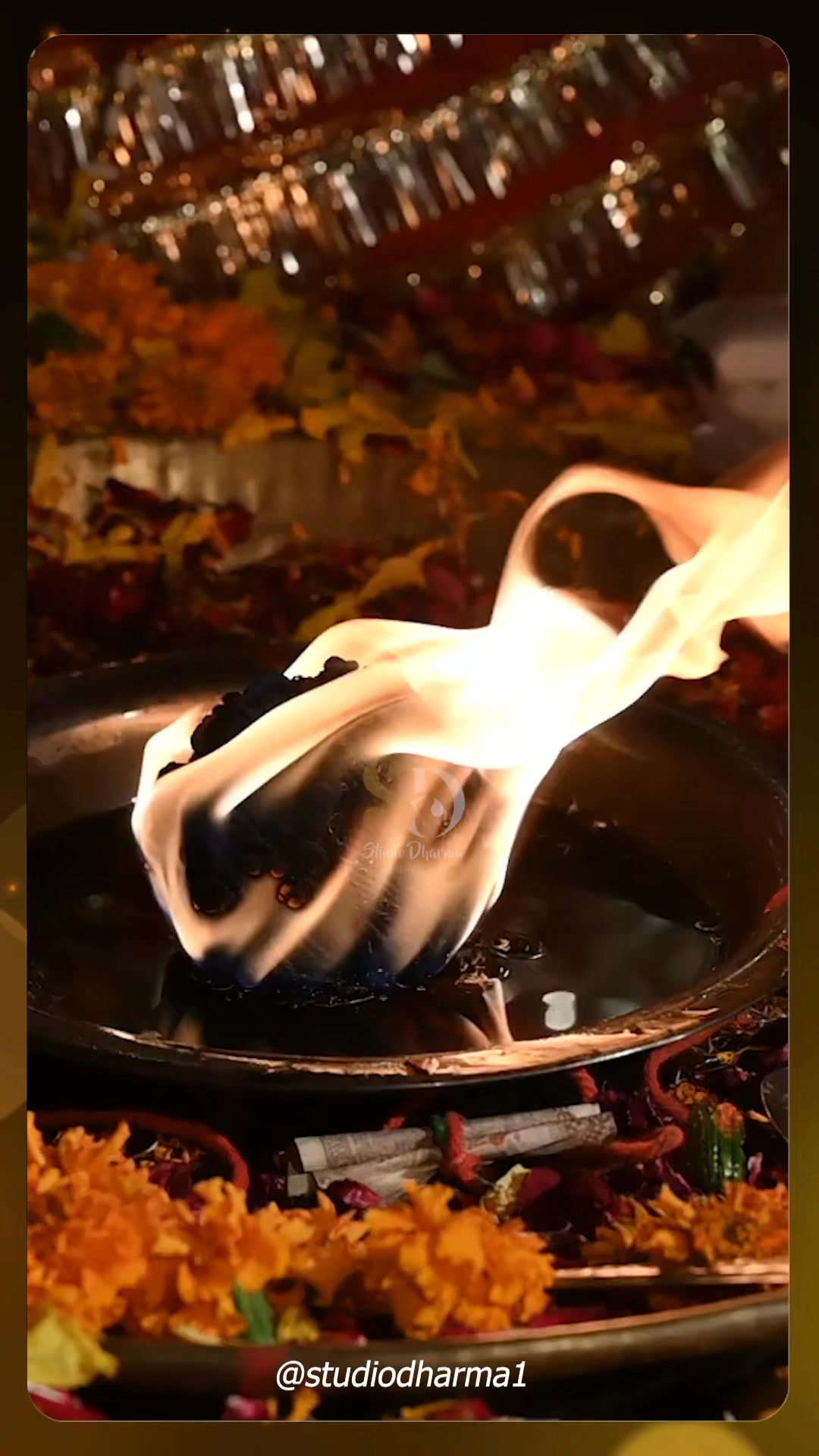 Navratri 2025 begins on 22nd September — a sacred festival of nine nights dedicated to Maa Durga, the embodiment of divine feminine energy.