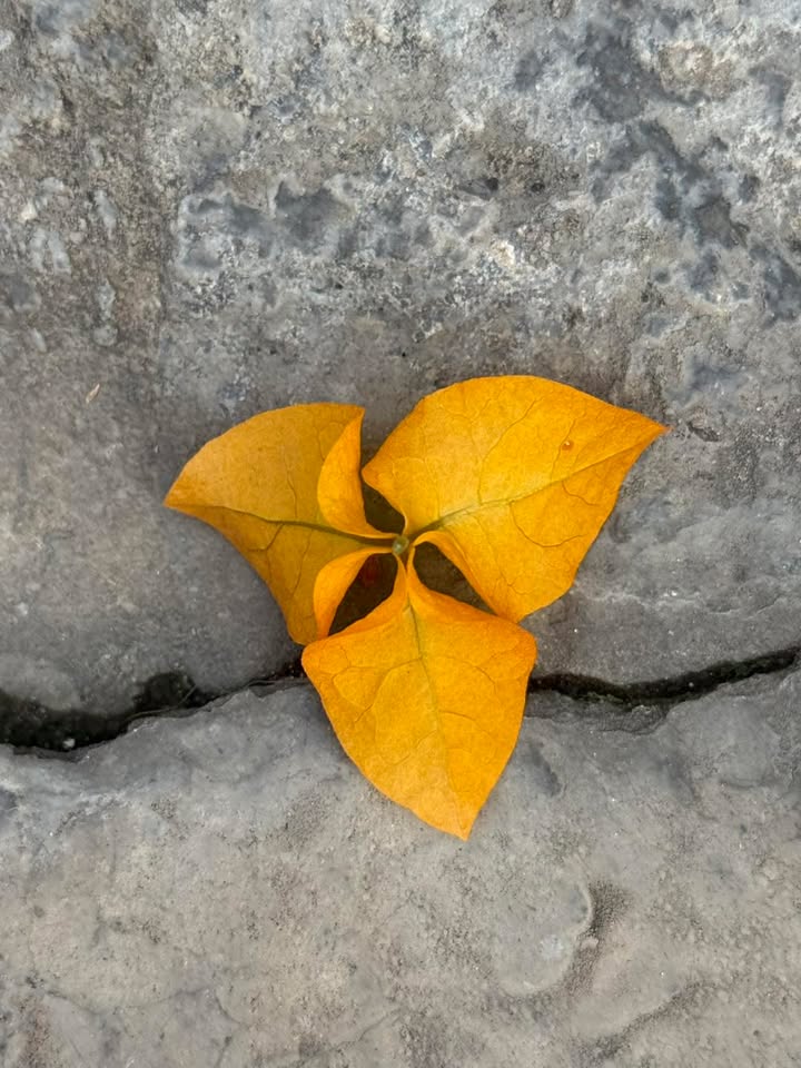 “Sometimes life throws us onto hard places.