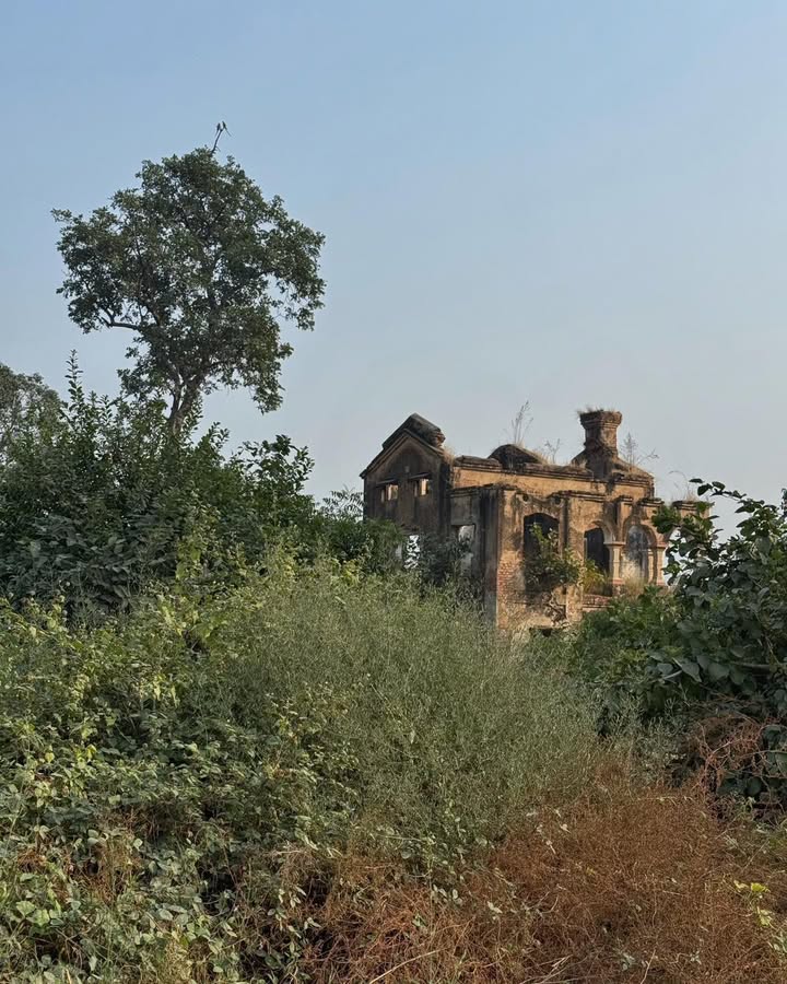 ❊🍂❊ ✧✧ ꧁ British-Era Canal Bungalow, Tilwara,Baghpat(1901) ꧂ ✧✧ ❊🍂❊.