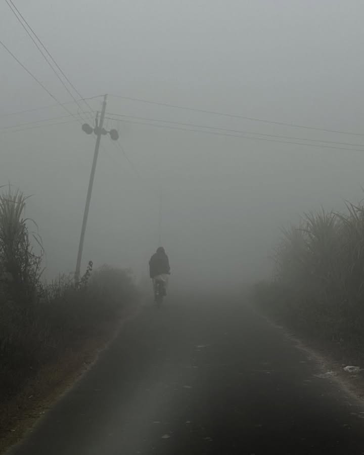 “In the hush of a winter morning, life moves quietly forward.