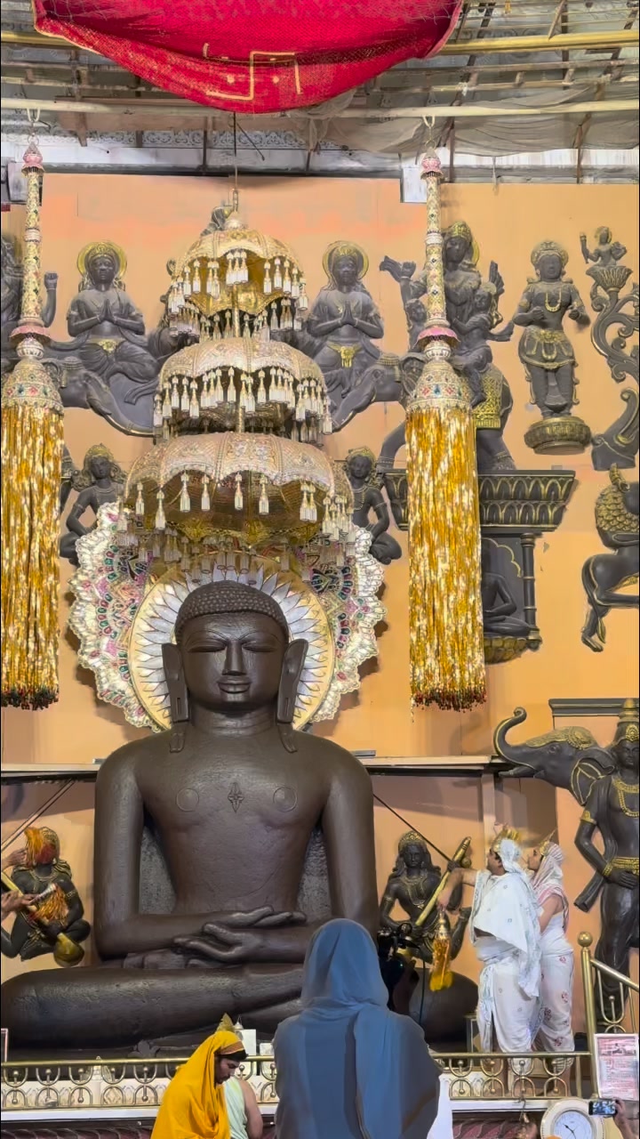 प्रथम तीर्थंकर श्री १००८ आदिनाथ भगवान के जन्म कल्याणक महा मह