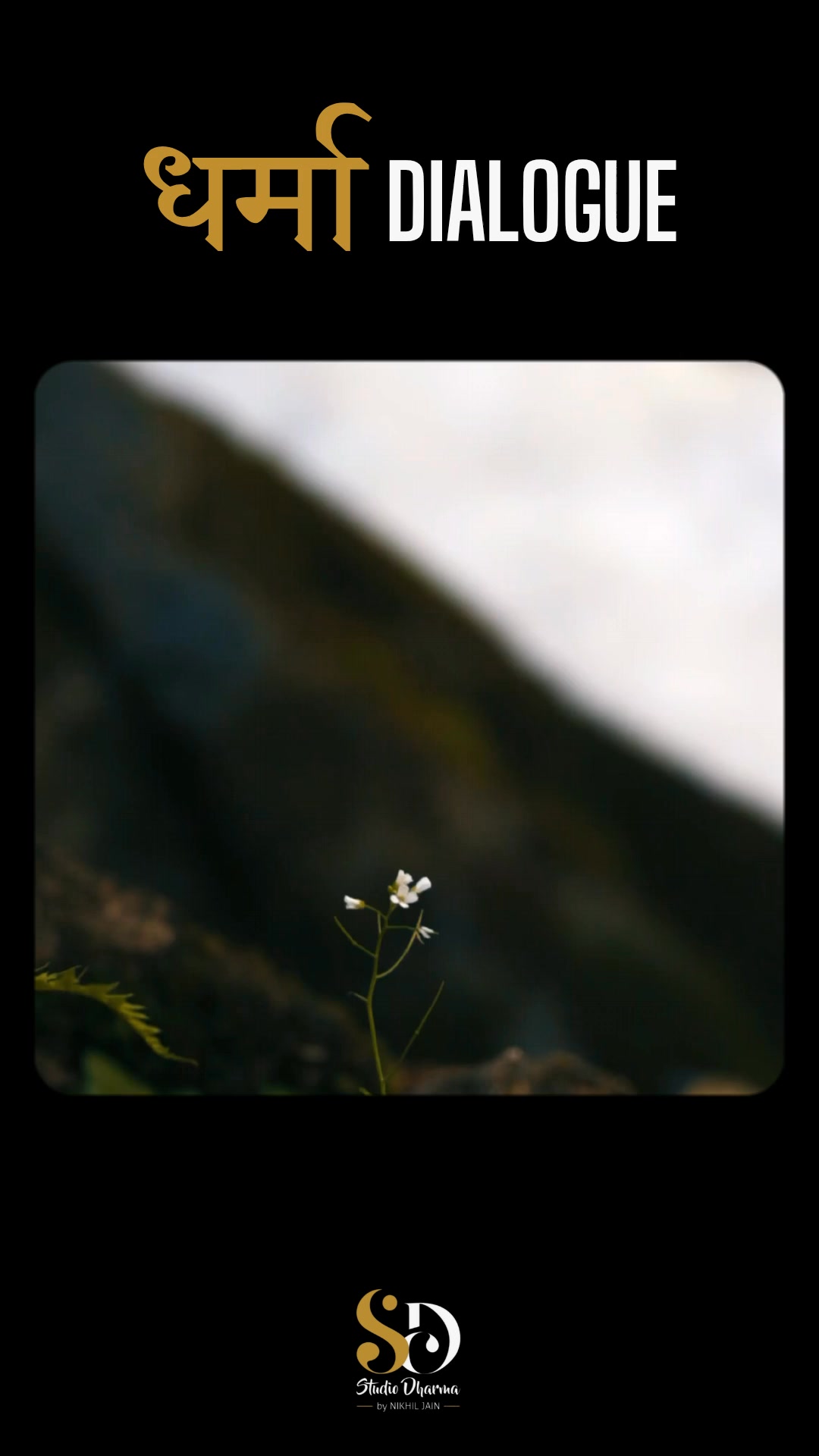 धर्मा dialogue - Motivation 
Follow for more @studiodharma1 @studiodharma 
.