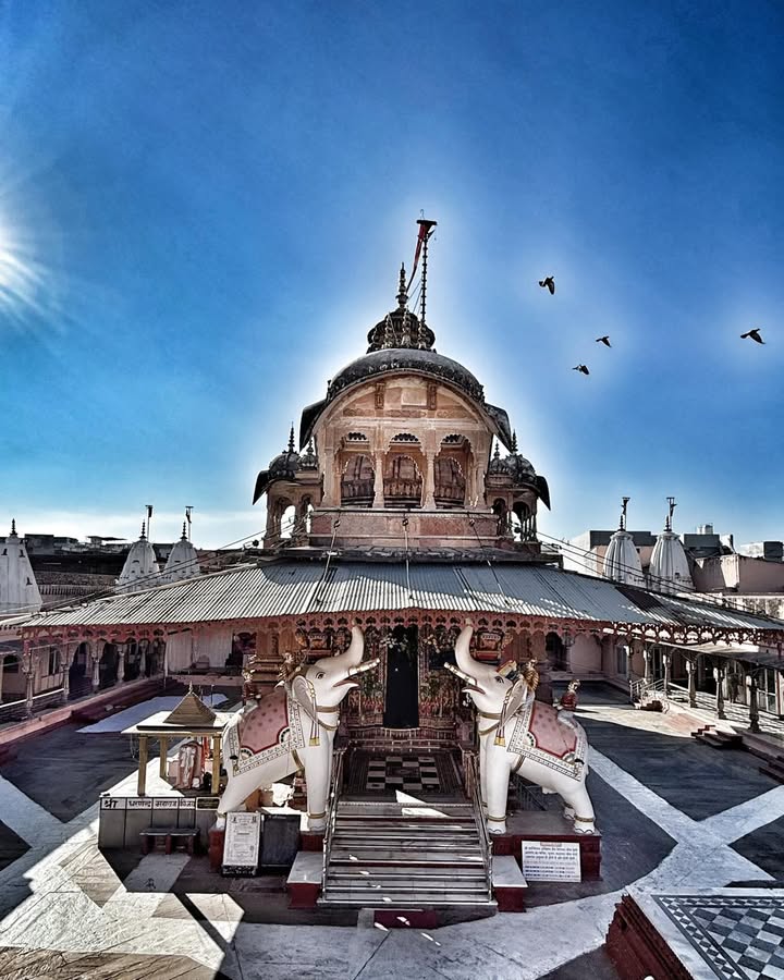 The Eternal Silence of Shantinath
Shri 1008 Shantinath Digambar Jain Temple, Jhalrapatan, Rajasthan.