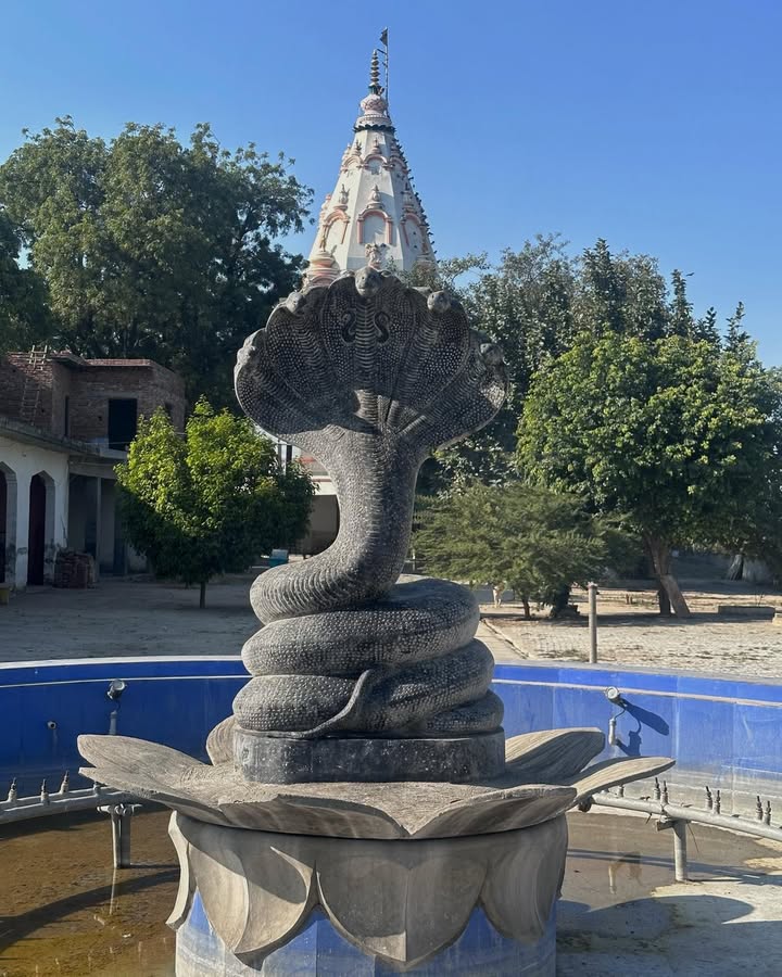 Naga Devta Temple, Bamnoli, Baghpat, Uttar Pradesh – A 350-Year Living Faith.