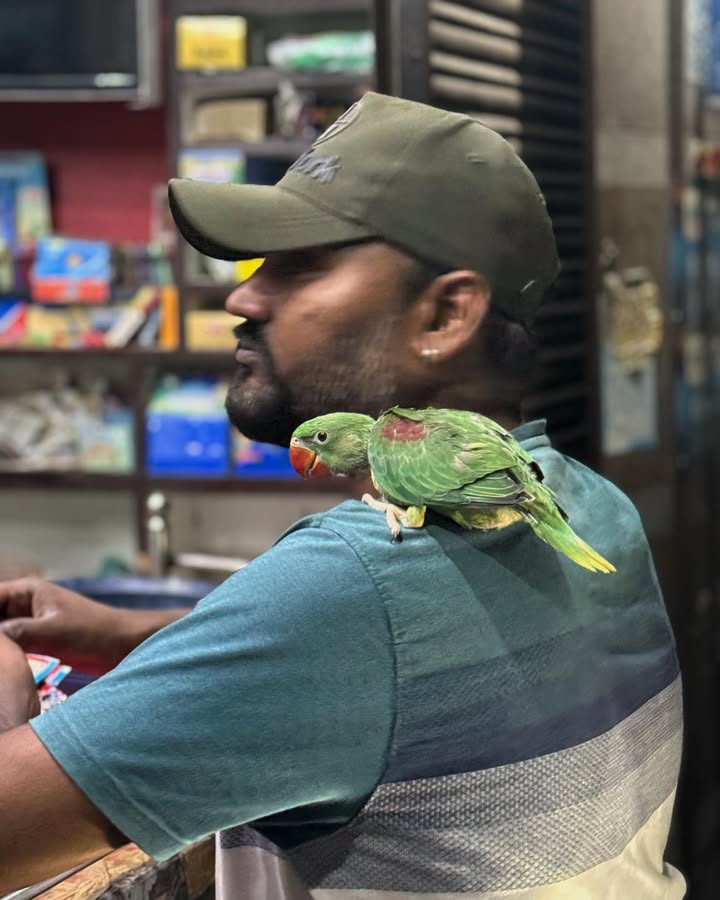 A Silent Companion – A Street Story from India .