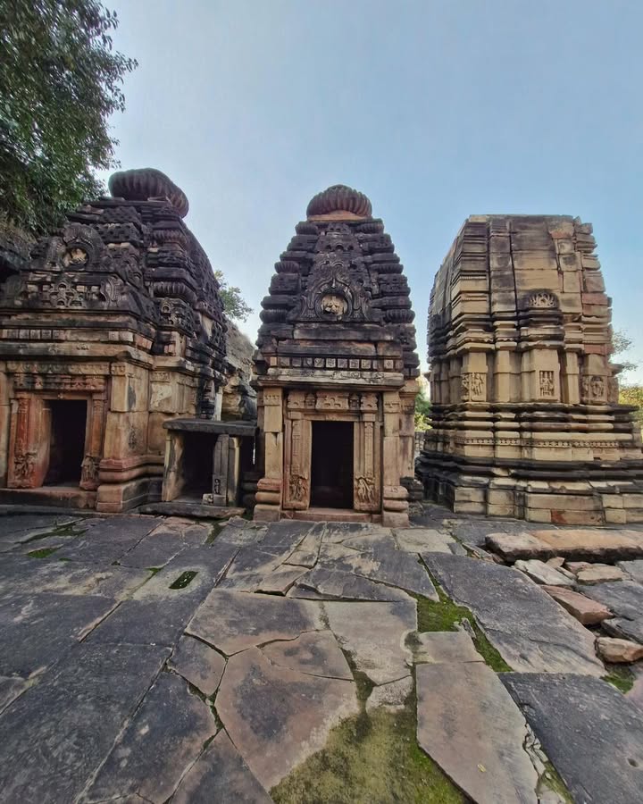 Nareshwar Group of Temples, Morena – The Forgotten Stone Symphony of Madhya Pradesh .