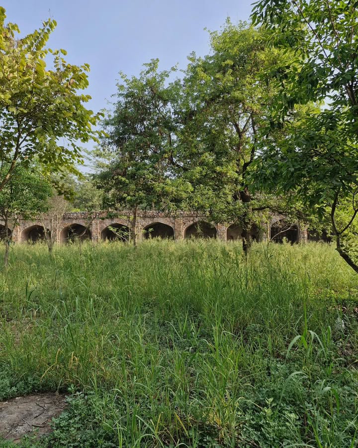 Arab Ki Sarai, Delhi – The Forgotten Caravan of Faith beside Humayun’s Tomb .