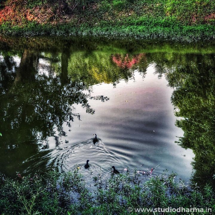 EARTH IS AWESOME,HAPPY ENVIRONMENT DAY….