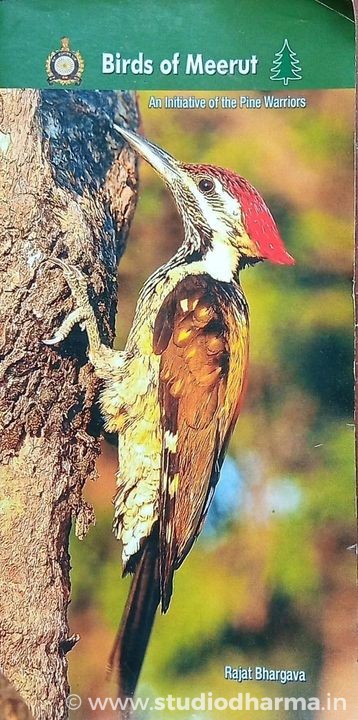 GOOD NEWS FOR THE PEOPLE OF MEERUT & BIRD LOVERS.