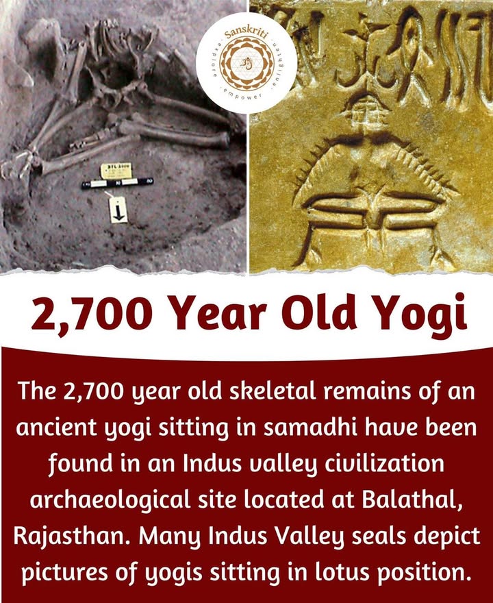 2,700 Year Old Yogi 
The 2,700 year old skeletal remains of an ancient yogi sitting in samadhi have been found in an Indus valley civilization archaeological site located at Balathal, Rajasthan.