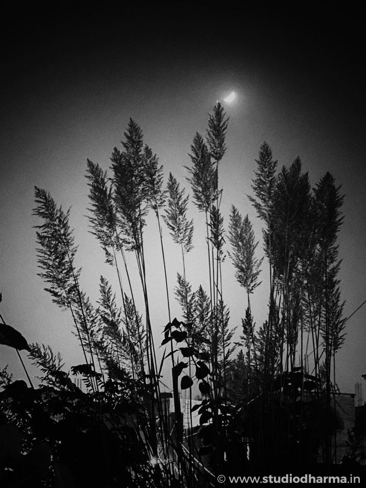 रात का नया चाँद मुबारक
चाँद को चाँदनी मुबारक
फलक को सितारे मुबारक
सितारों को बुलंदी मुबारक
और आप सभी को स्टूडियो धर्मा की तरफ से 
रमजान मुबारक .