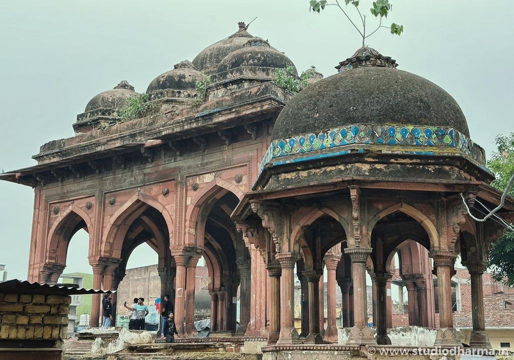 This is the final resting place of the nawab of Meerut, but in addition to him and his family, there are now buffalos, goats, and other animals there as well.