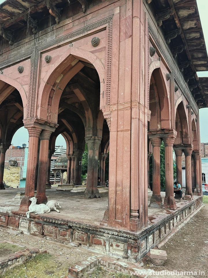 This is the final resting place of the nawab of Meerut, but in addition to him and his family, there are now buffalos, goats, and other animals there as well.